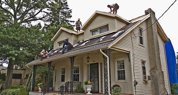 Best Storm Damage Roof Repair  in St Augustine, FL