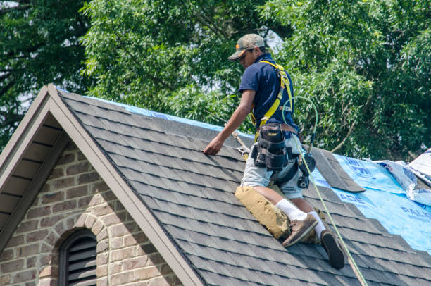 Best Residential Roofing Contractor  in St Augustine, FL